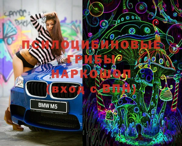 Альфа ПВП Киров
