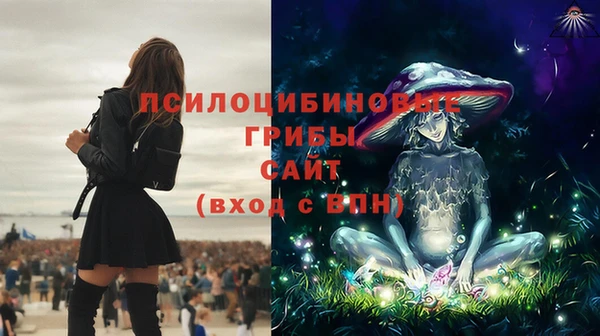 стафф Липки