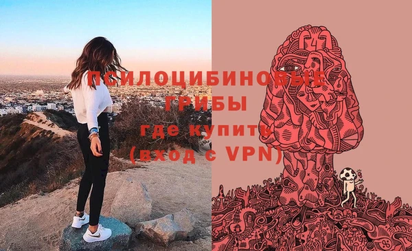 тгк Лиски