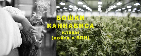 тгк Лиски