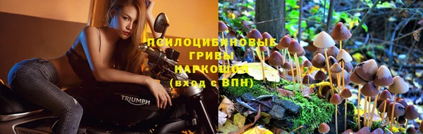 трава Нефтекумск